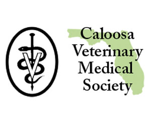 https://caloosavms.com/wp-content/uploads/2021/07/caloosalogo.jpg